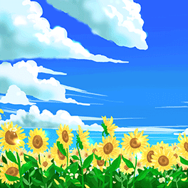 夏のひまわり畑