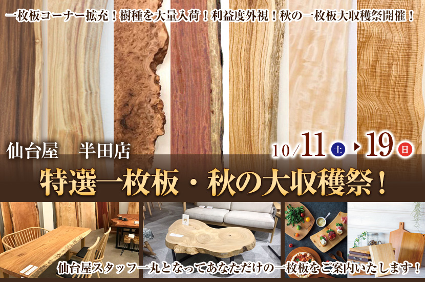 特選一枚板・秋の大収穫祭！in仙台屋半田店