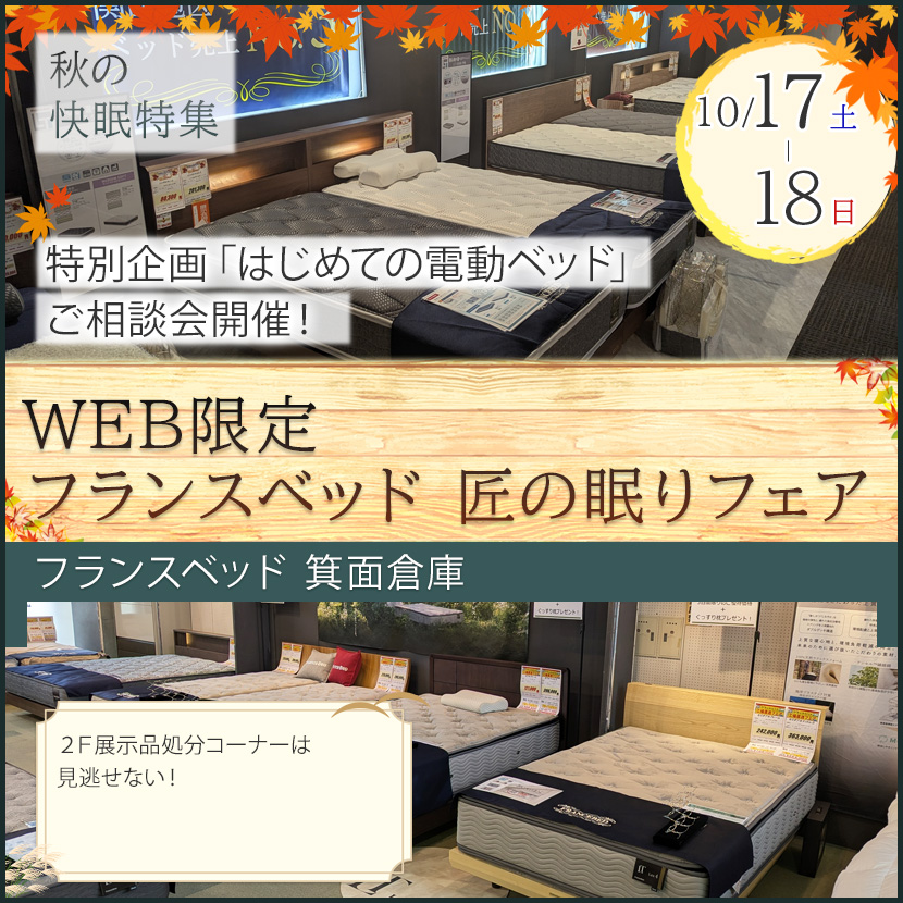 フランスベッド箕面倉庫  WEB限定 フランスベッド 匠の眠りフェア