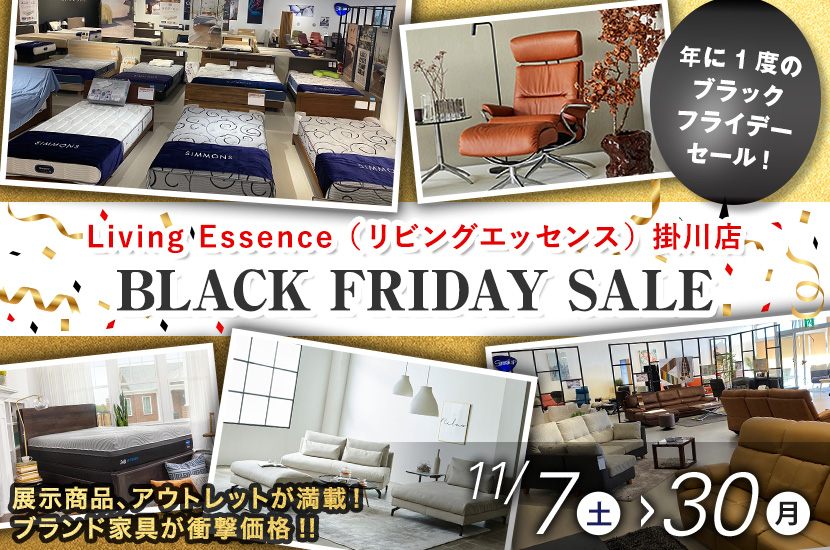 BLACK FRIDAY SALE